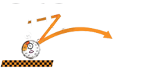 Pro Courses Express